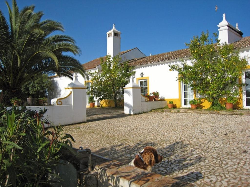 Monte Da Japonica Villa Redondo Kültér fotó